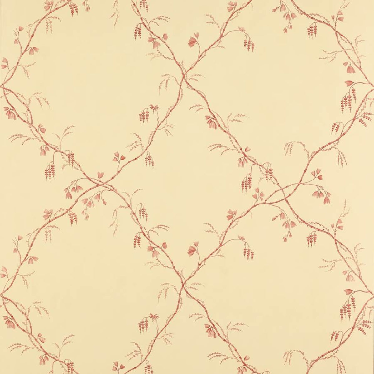 Colefax and Fowler | Roussillon