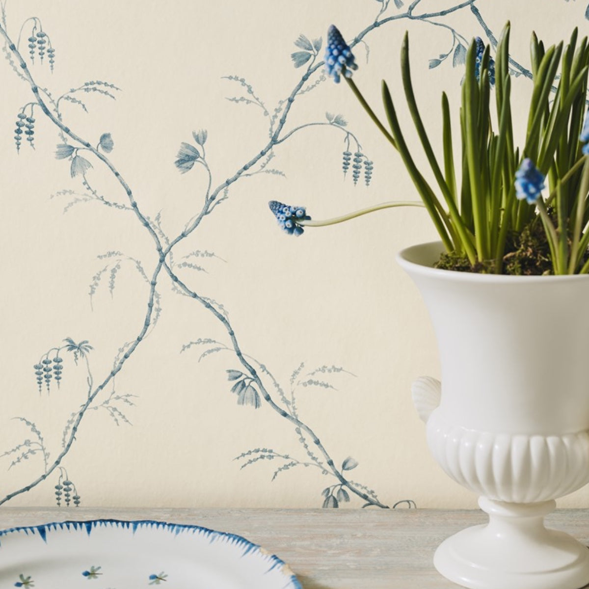 Colefax and Fowler | Roussillon