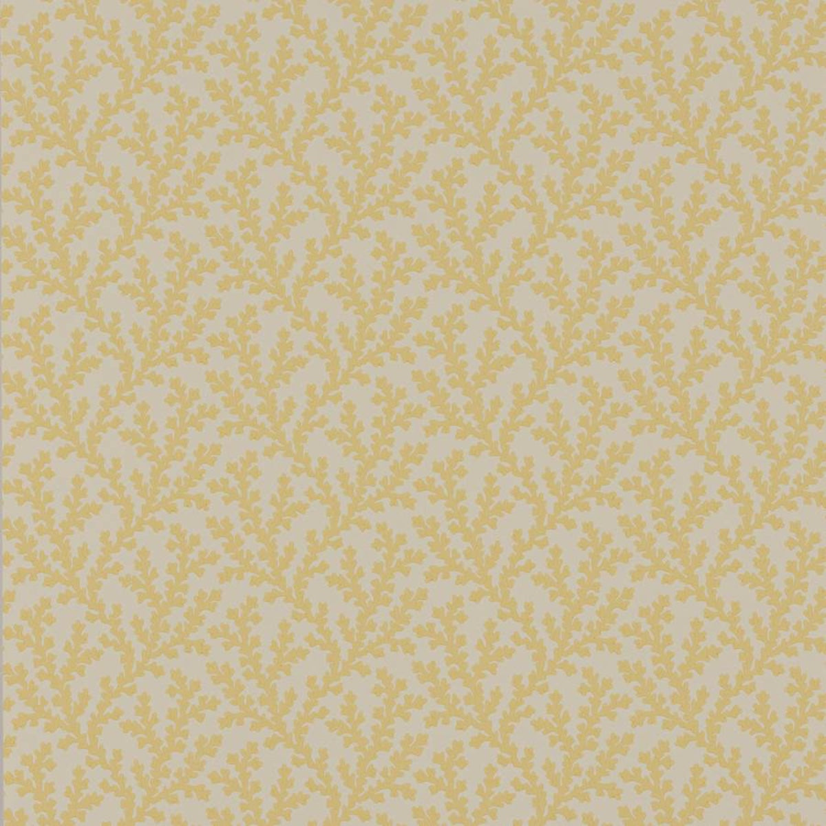 Colefax and Fowler | Sea Coral