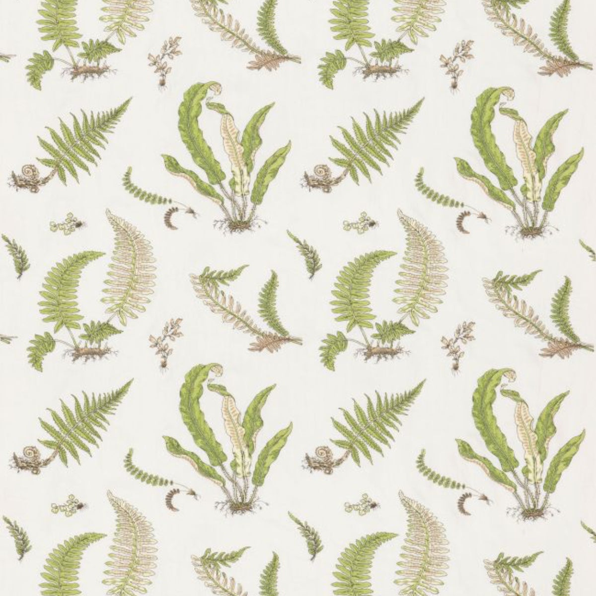 GP & J Baker | Ferns Embroidery