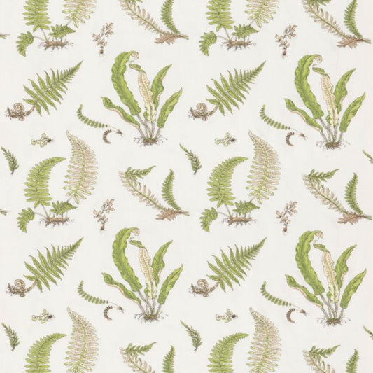 GP & J Baker | Ferns Embroidery
