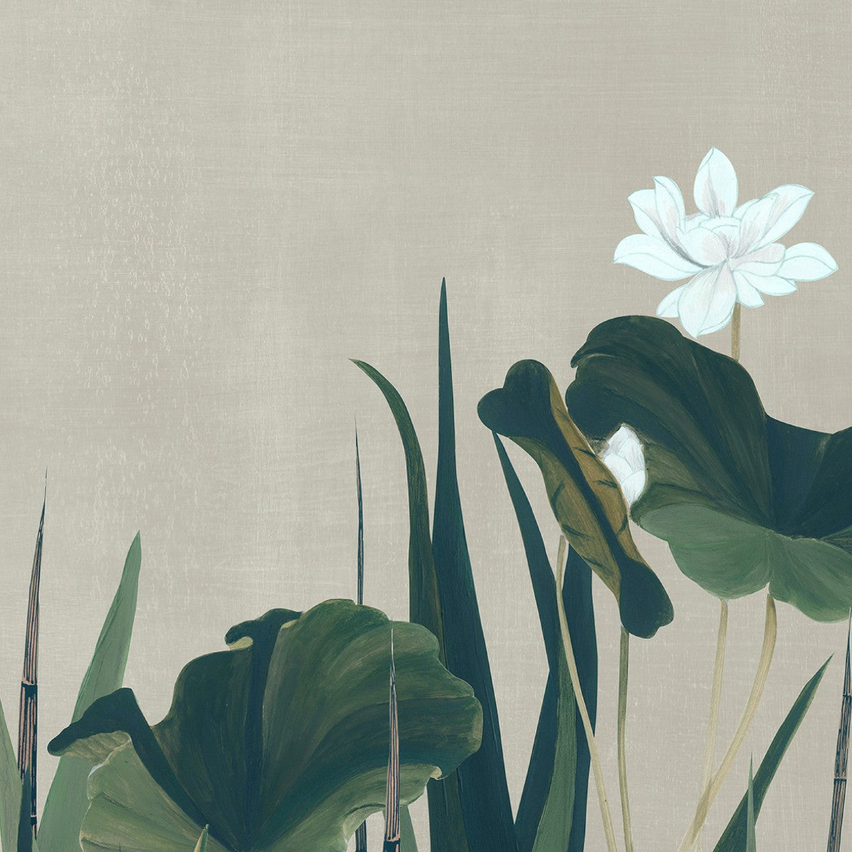 Nobilis | Naiades