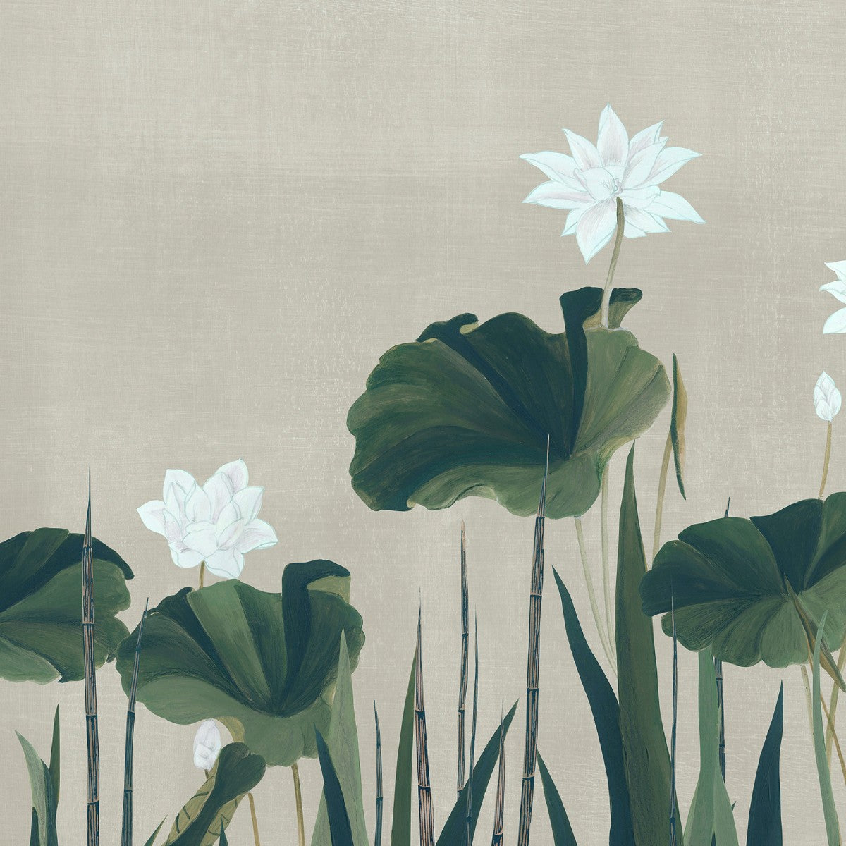 Nobilis | Naiades