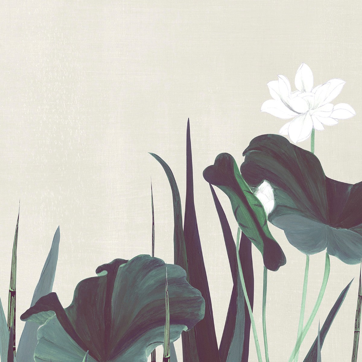 Nobilis | Naiades