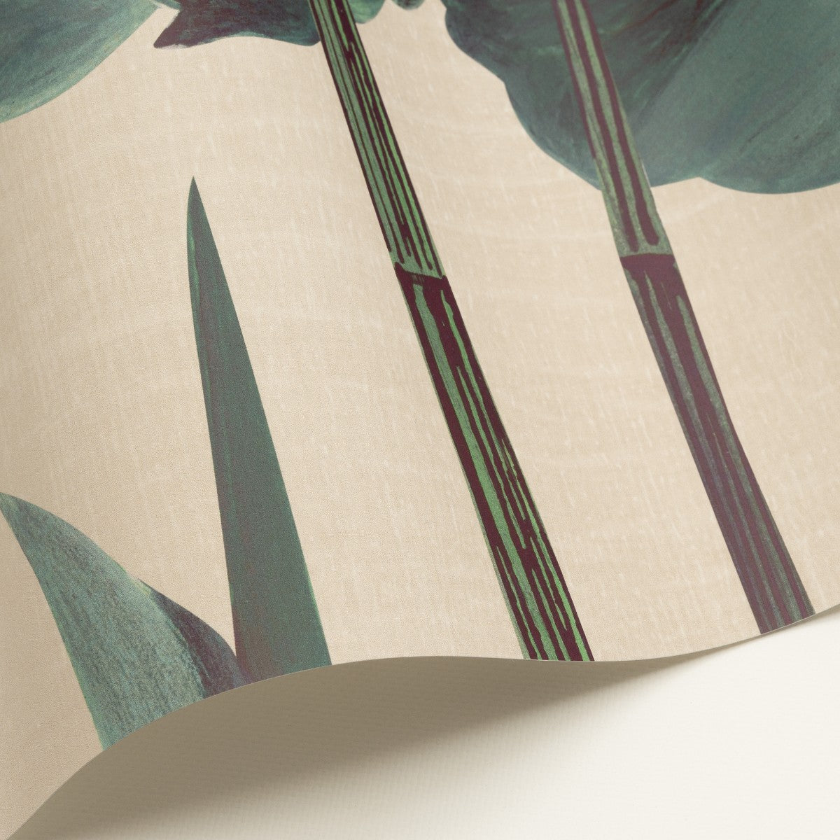Nobilis | Naiades