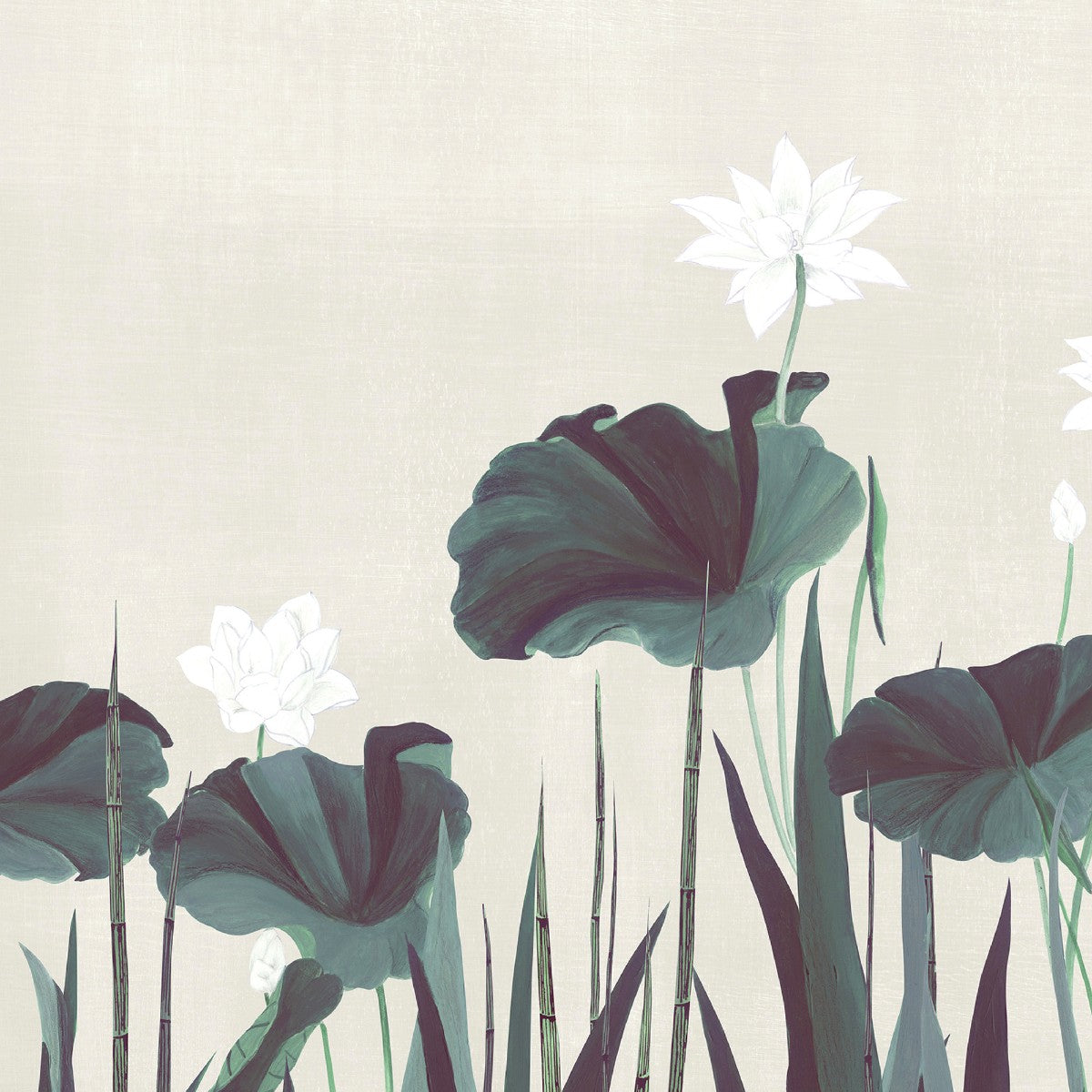 Nobilis | Naiades