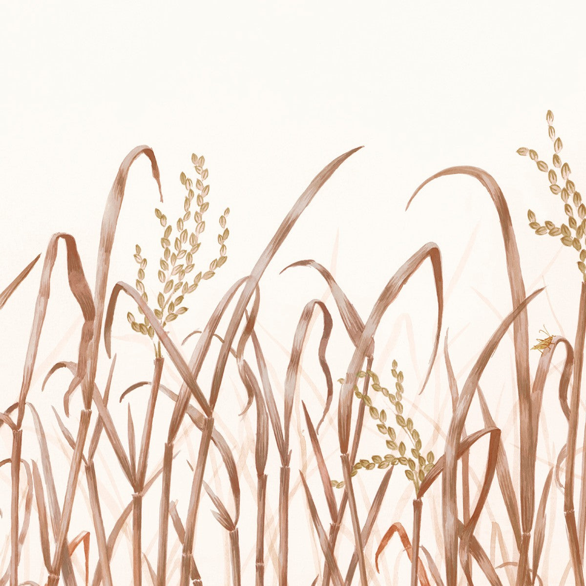 Nobilis | Hors Champs
