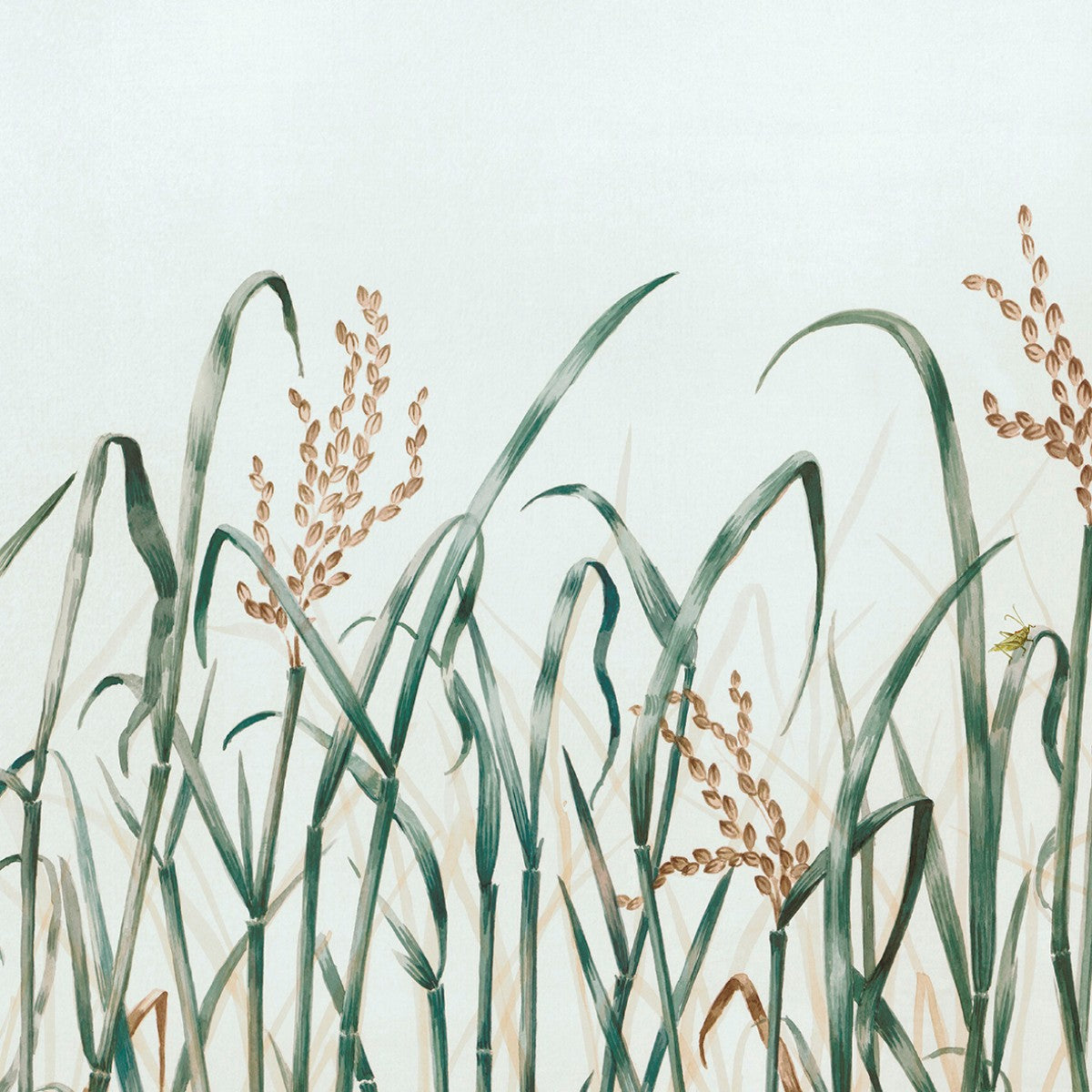 Nobilis | Hors Champs