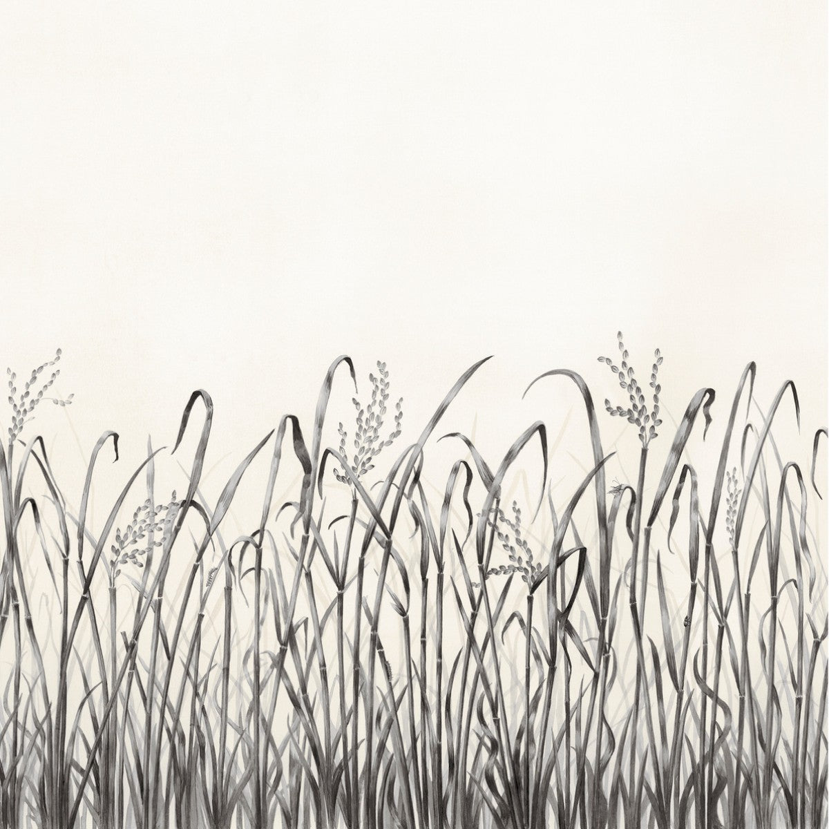 Nobilis | Hors Champs