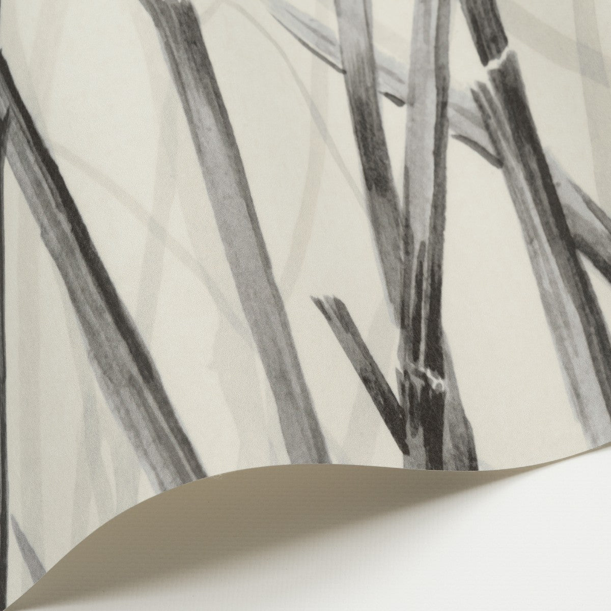 Nobilis | Hors Champs