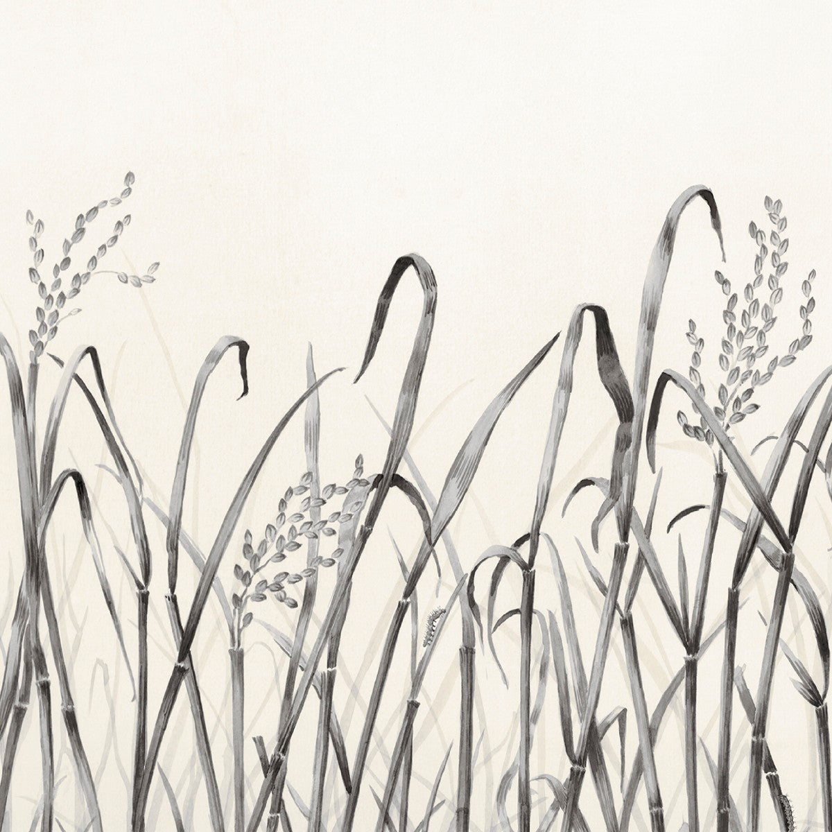 Nobilis | Hors Champs