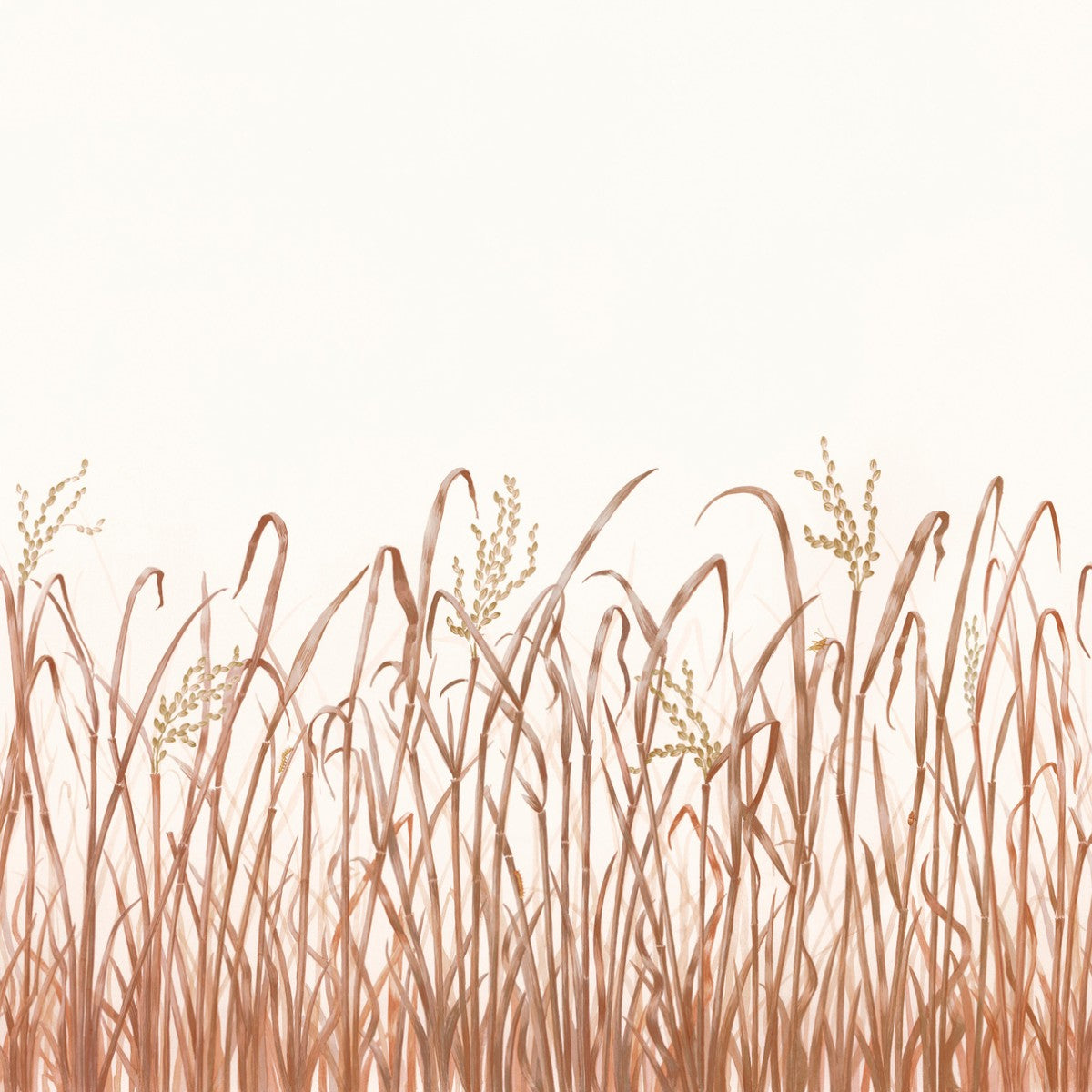 Nobilis | Hors Champs
