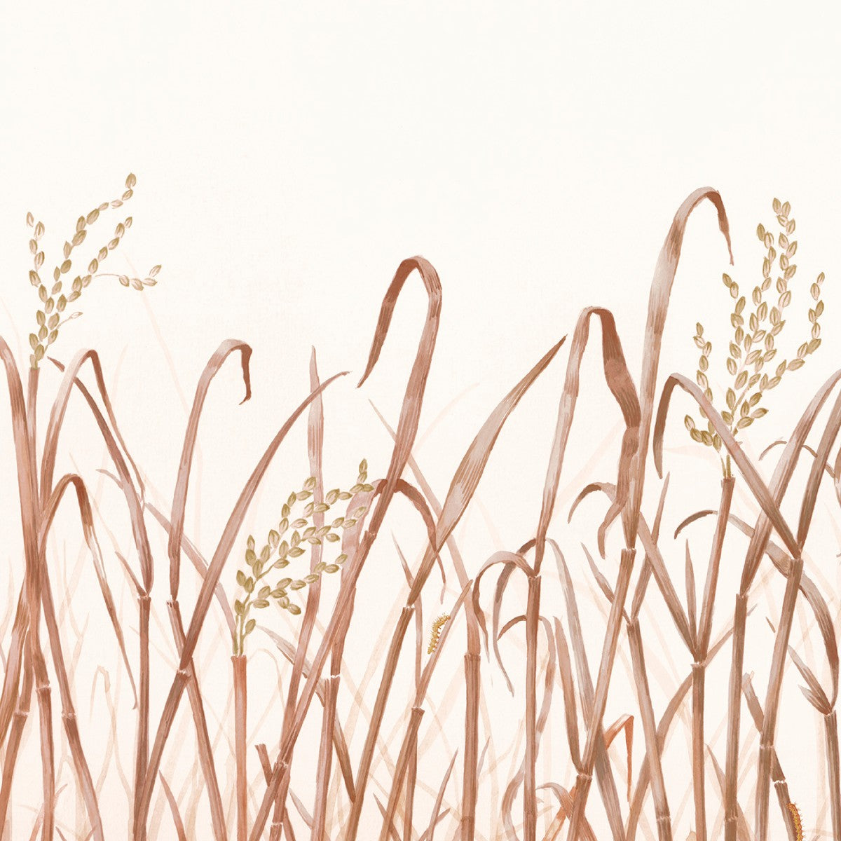 Nobilis | Hors Champs