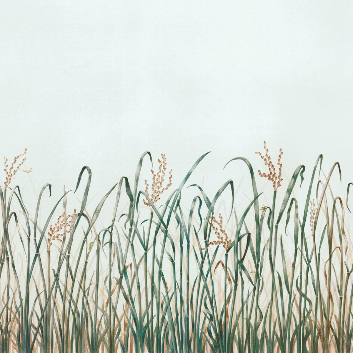 Nobilis | Hors Champs