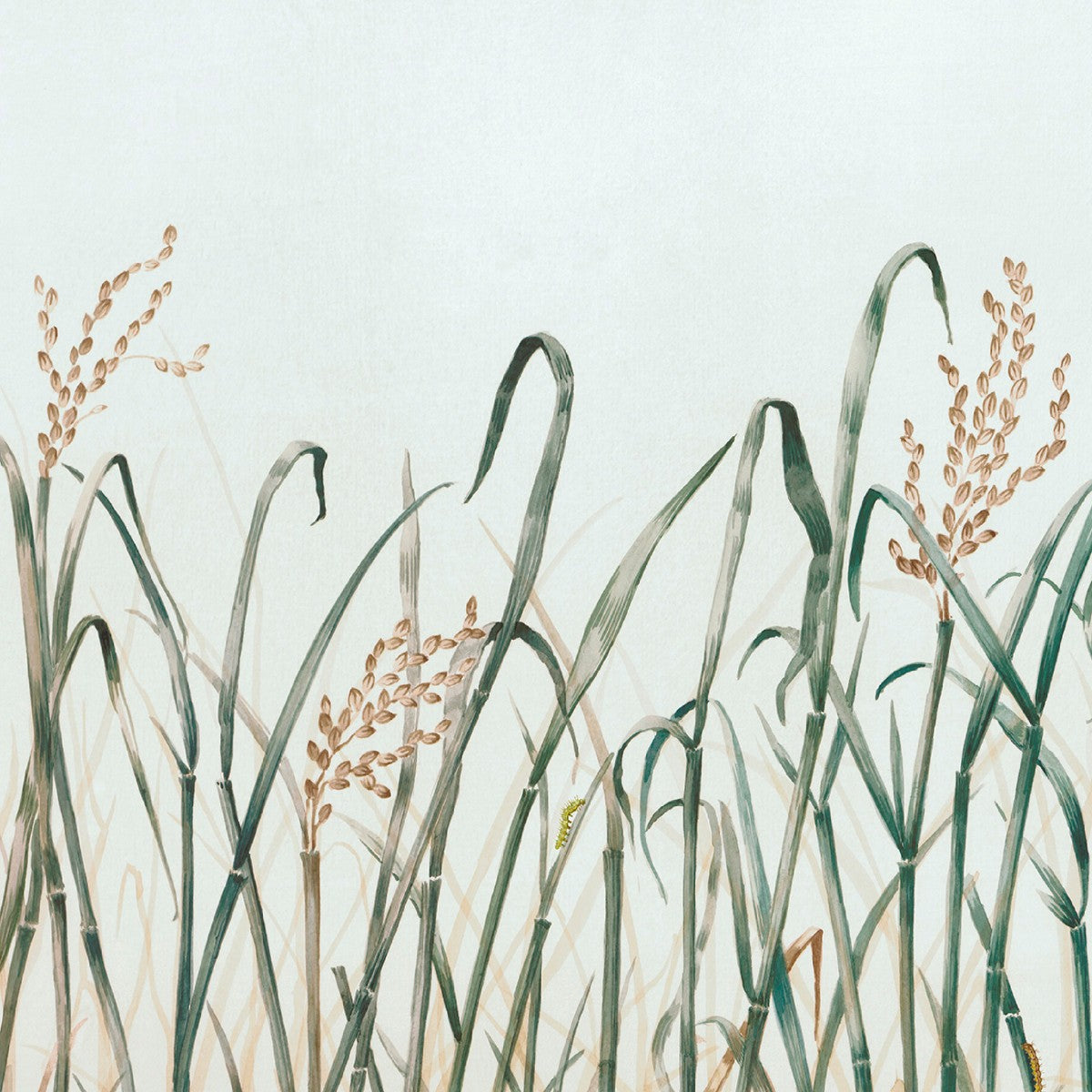 Nobilis | Hors Champs