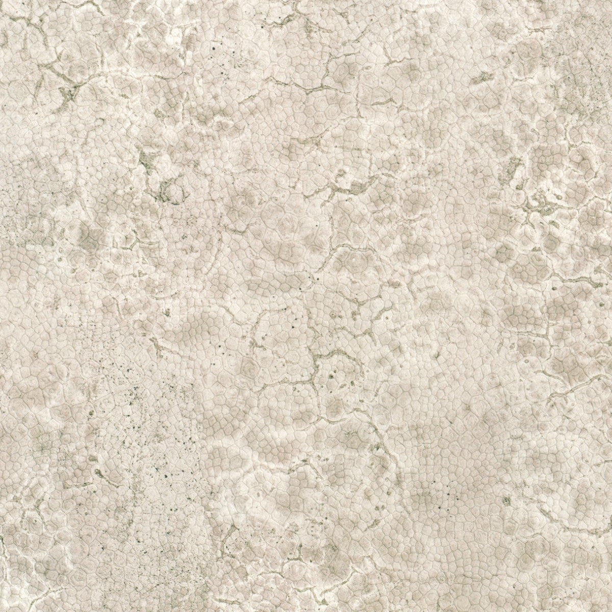 Nobilis | Moon