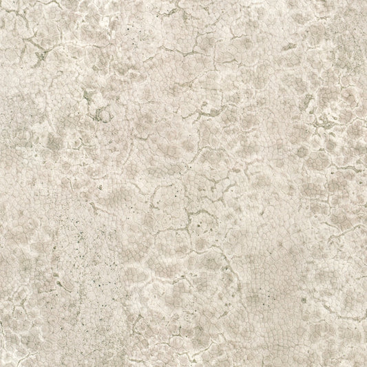 Nobilis | Moon