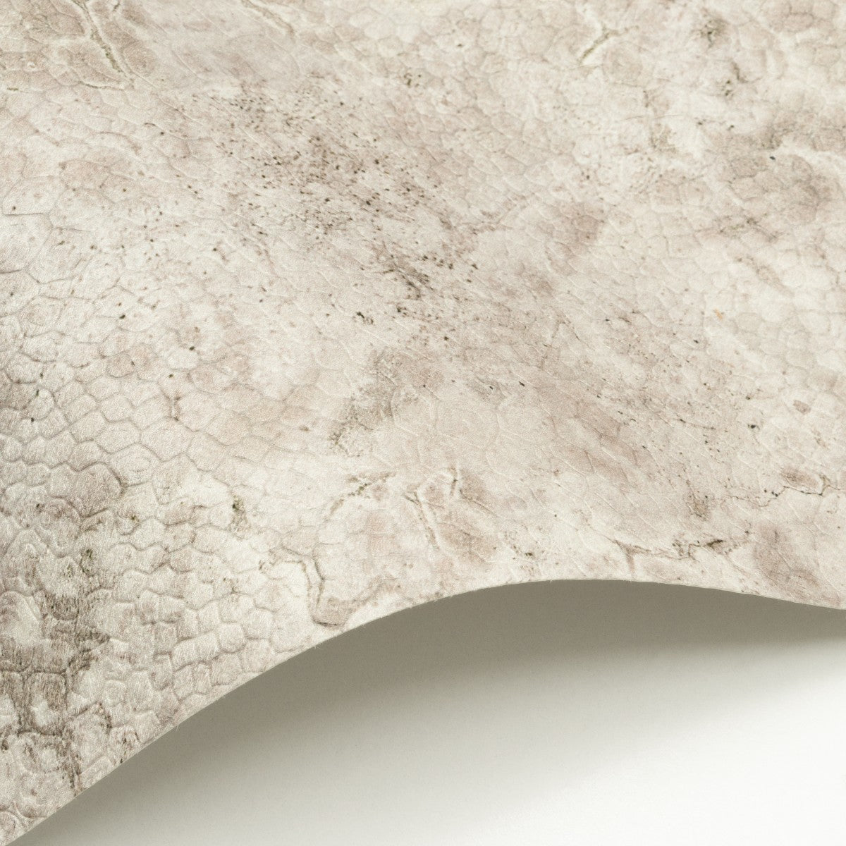 Nobilis | Moon