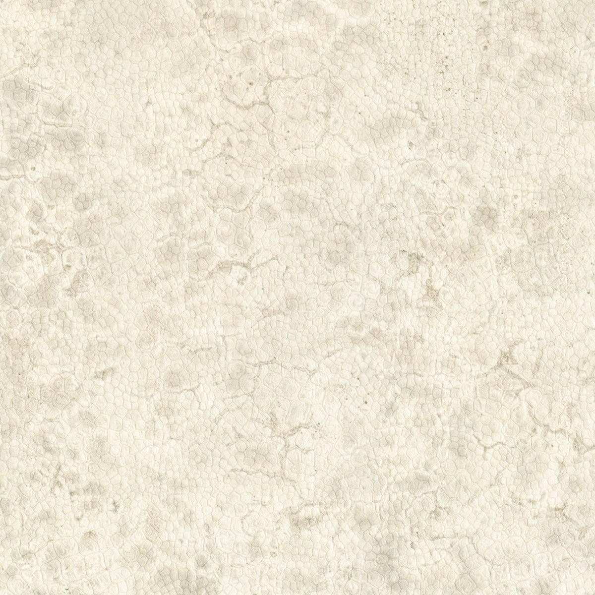 Nobilis | Moon