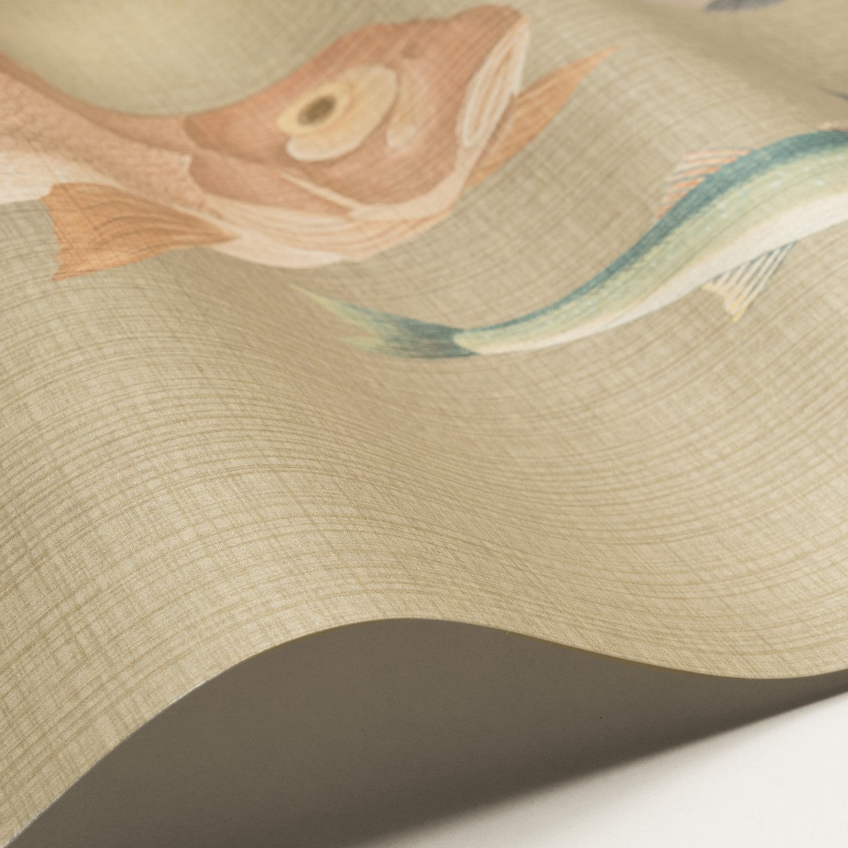 Nobilis | Ito
