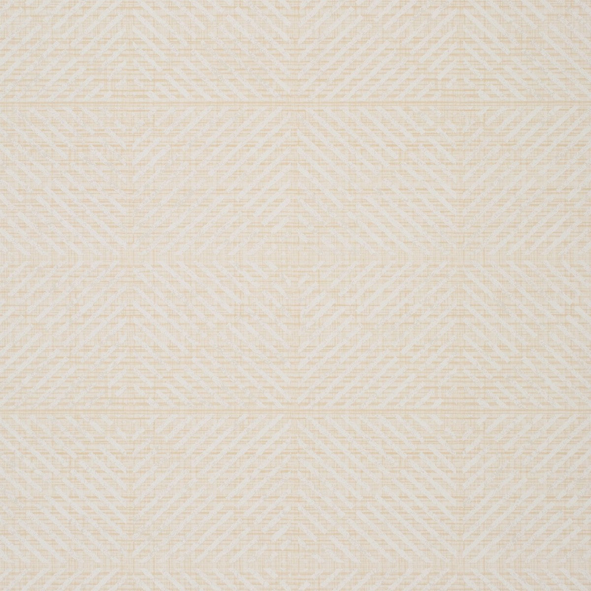 Nobilis | Paillotte