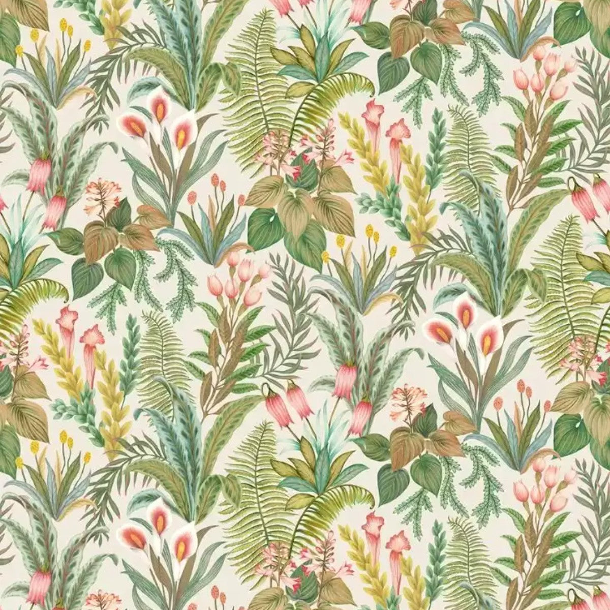 Osborne & Little | Calla Lily