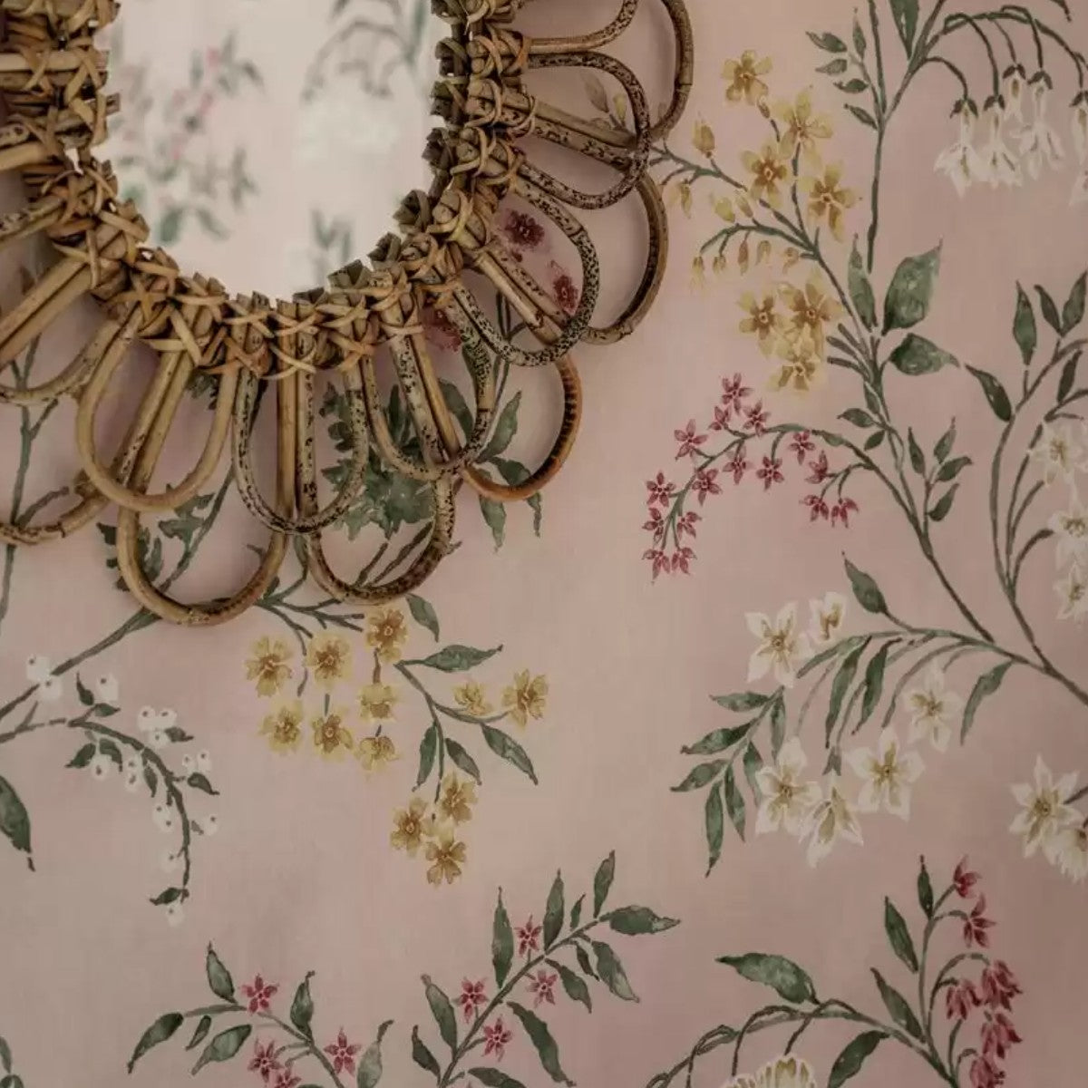 Nina Campbell | Almora