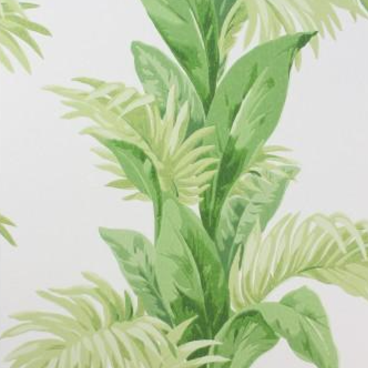 Nina Campbell | Palmetto
