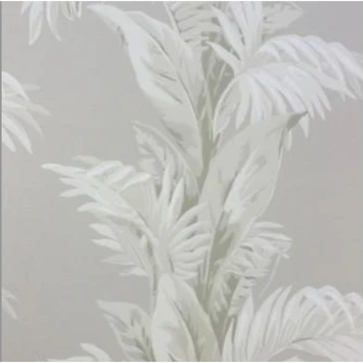 Nina Campbell | Palmetto