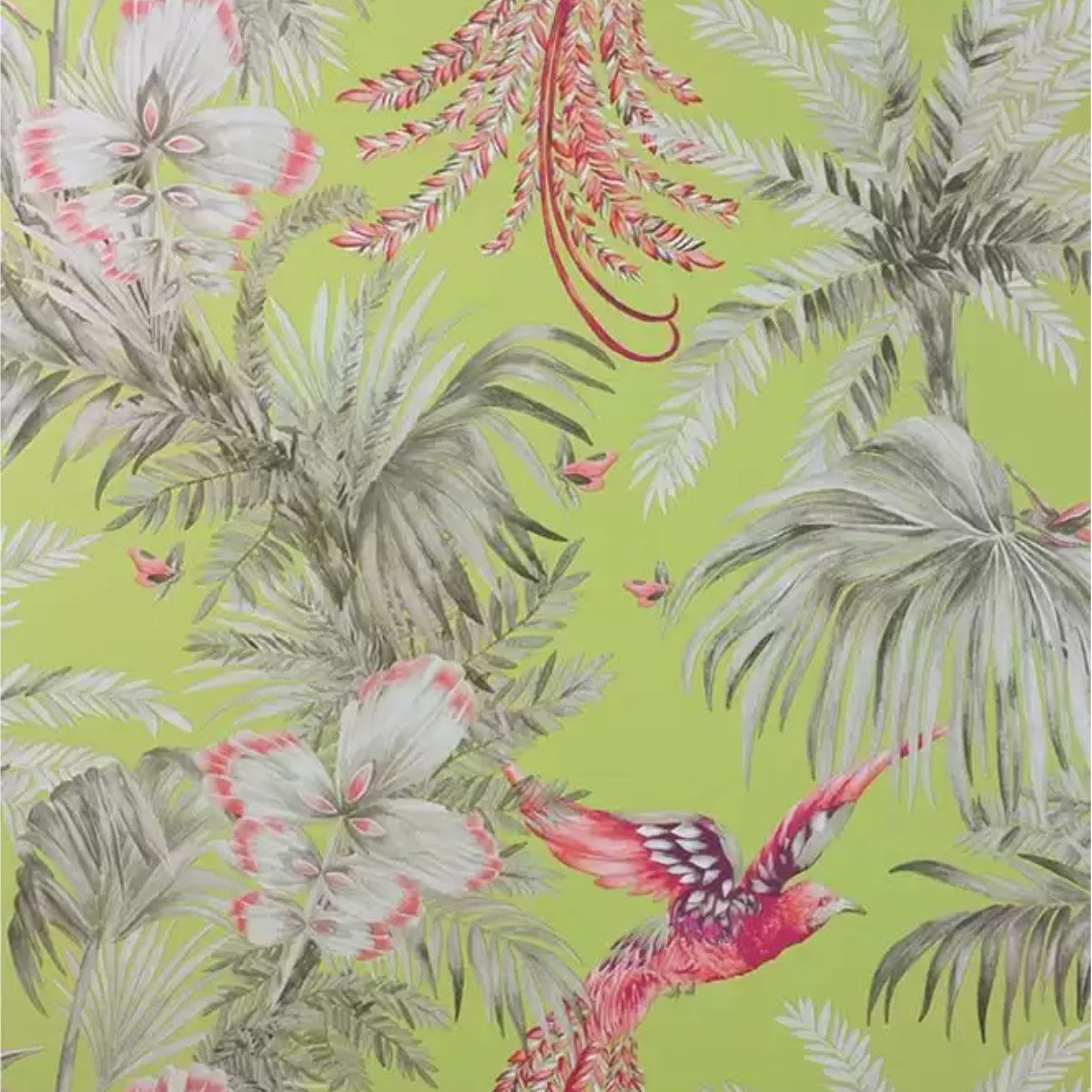 Matthew Williamson | Bird of Paradise