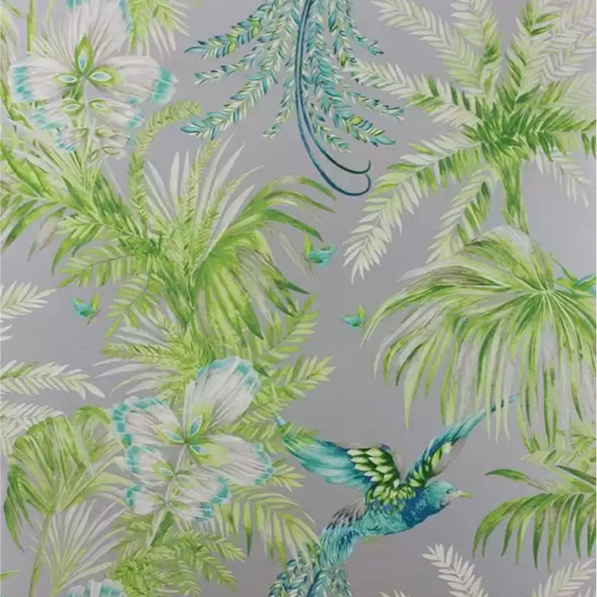 Matthew Williamson | Bird of Paradise
