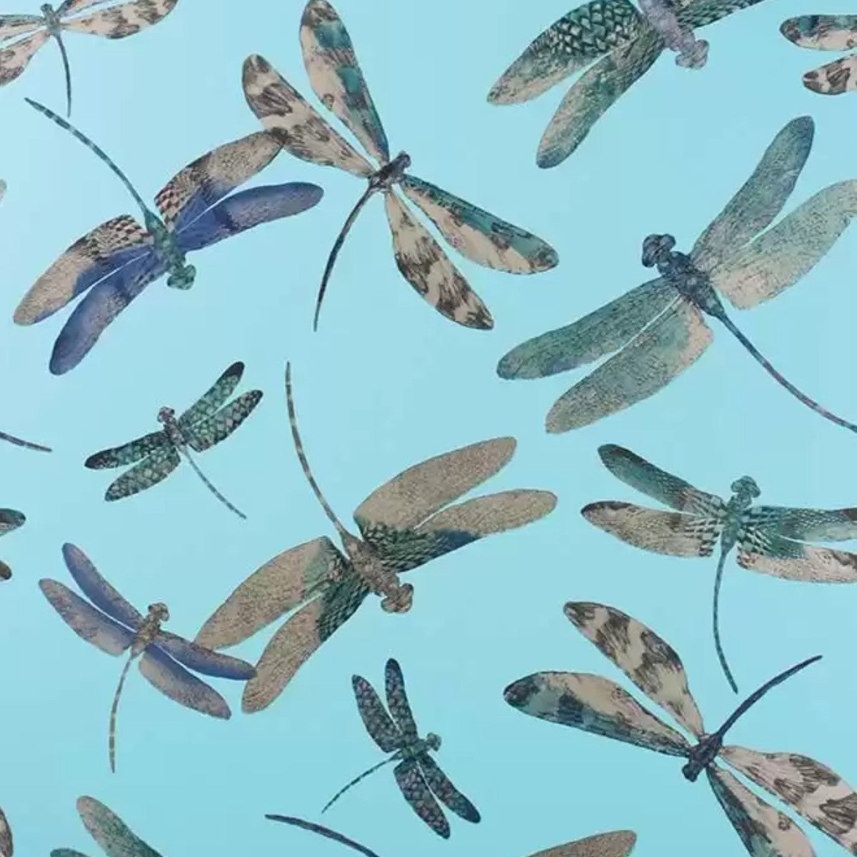Matthew Williamson | Dragonfly Dance