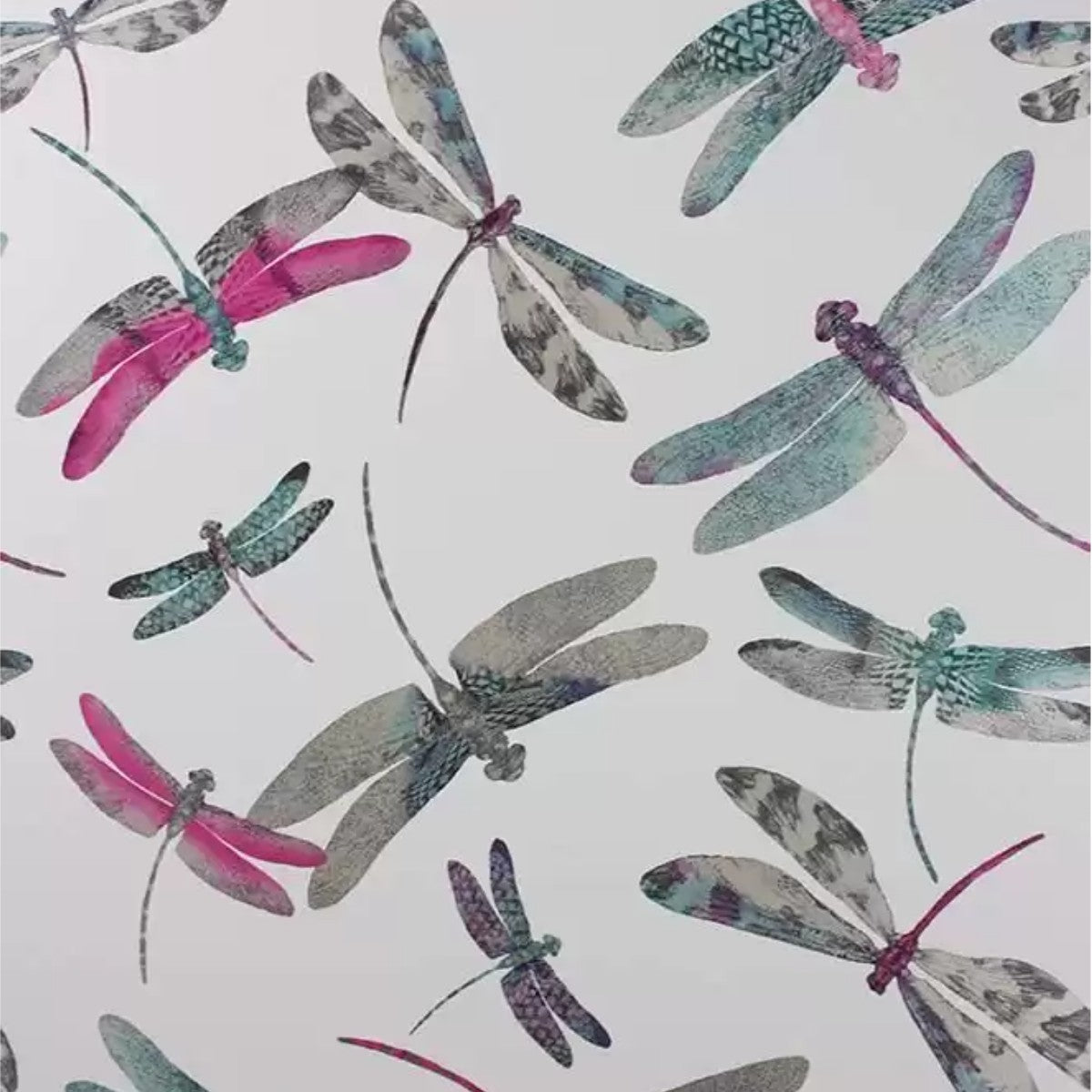 Matthew Williamson | Dragonfly Dance