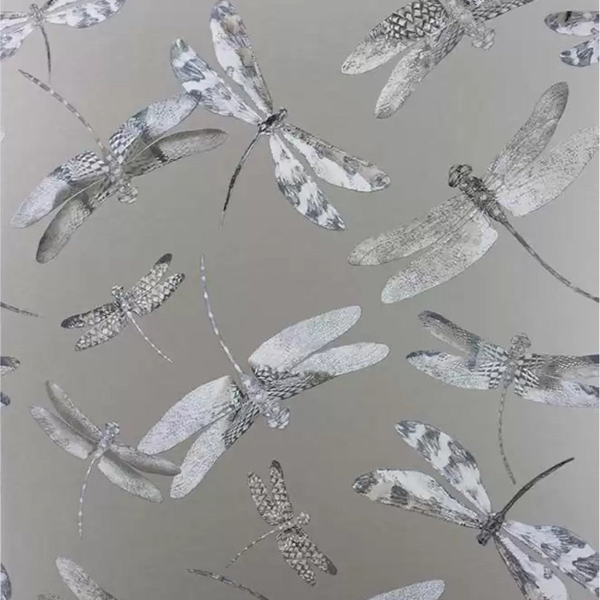 Matthew Williamson | Dragonfly Dance