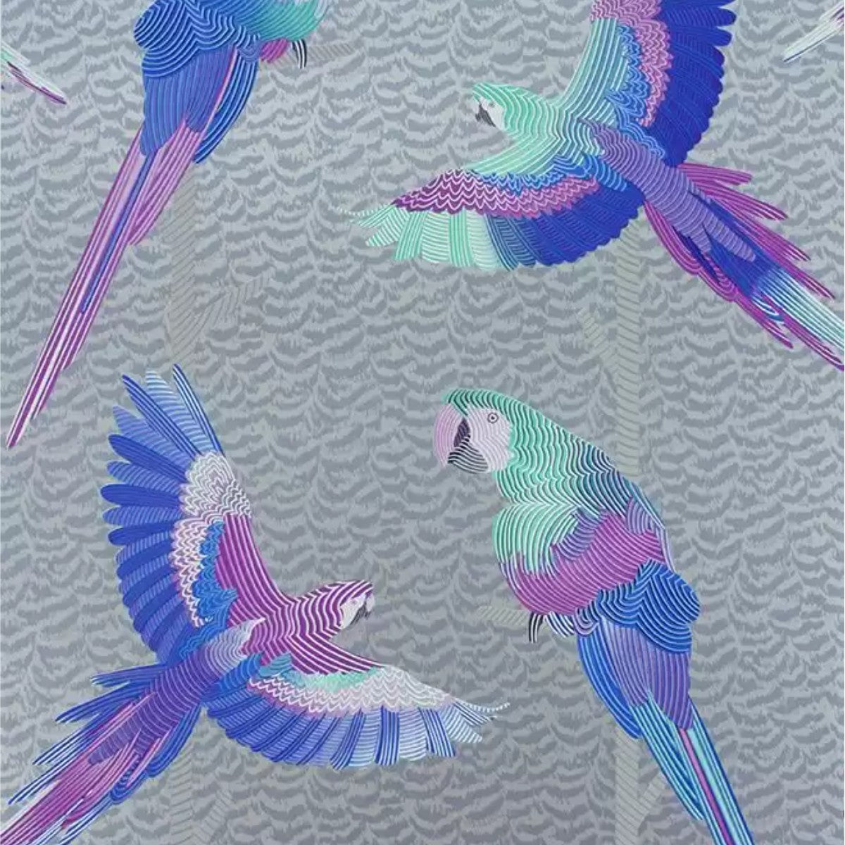 Matthew Williamson | Arini