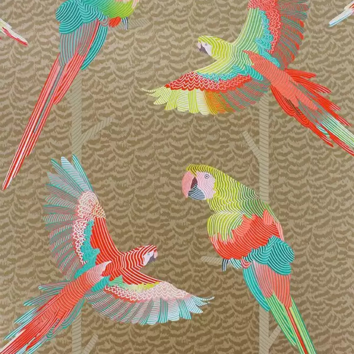 Matthew Williamson | Arini