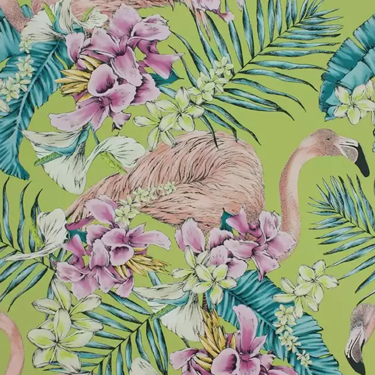 Matthew Williamson | Flamingo Club