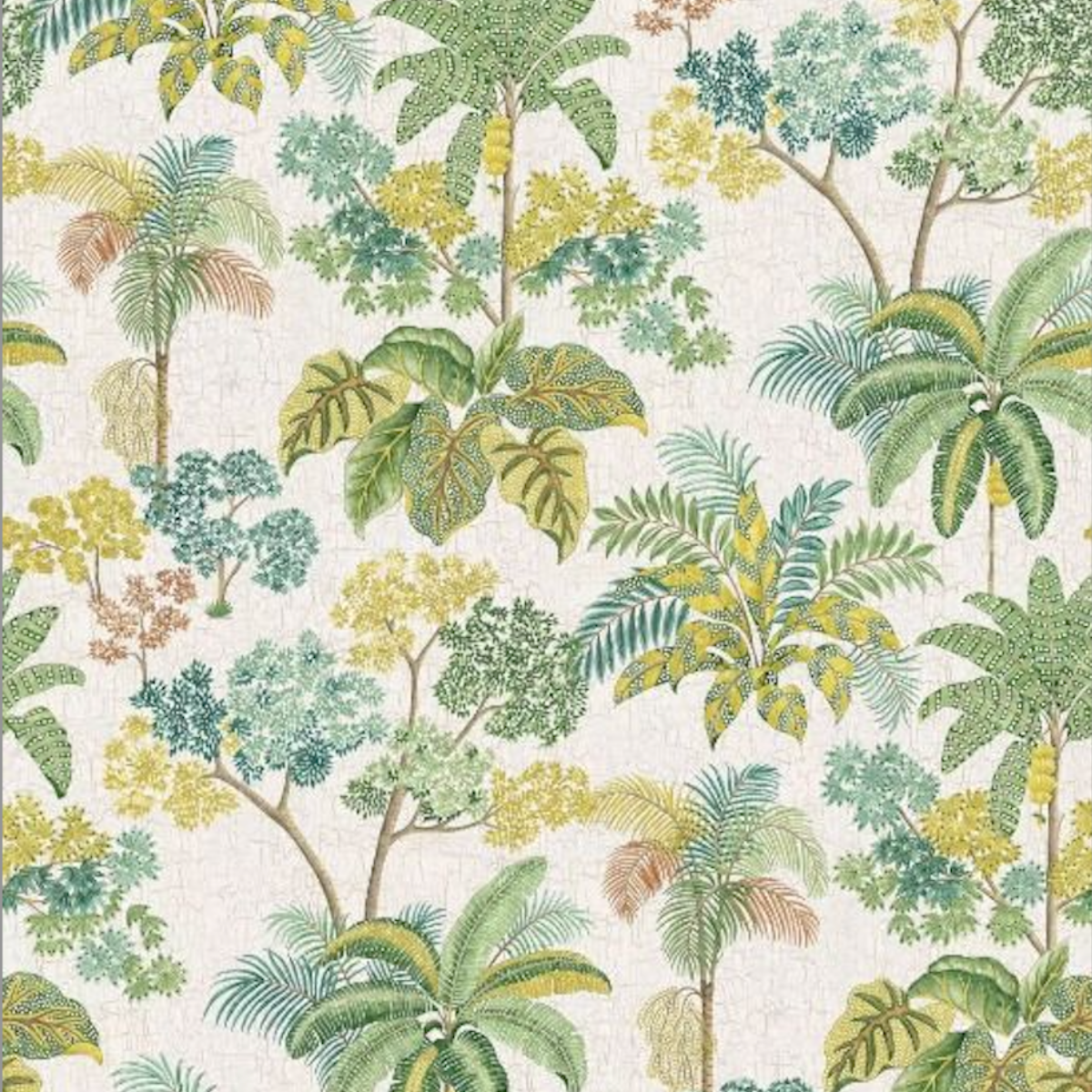 Matthew Williamson | Malabar