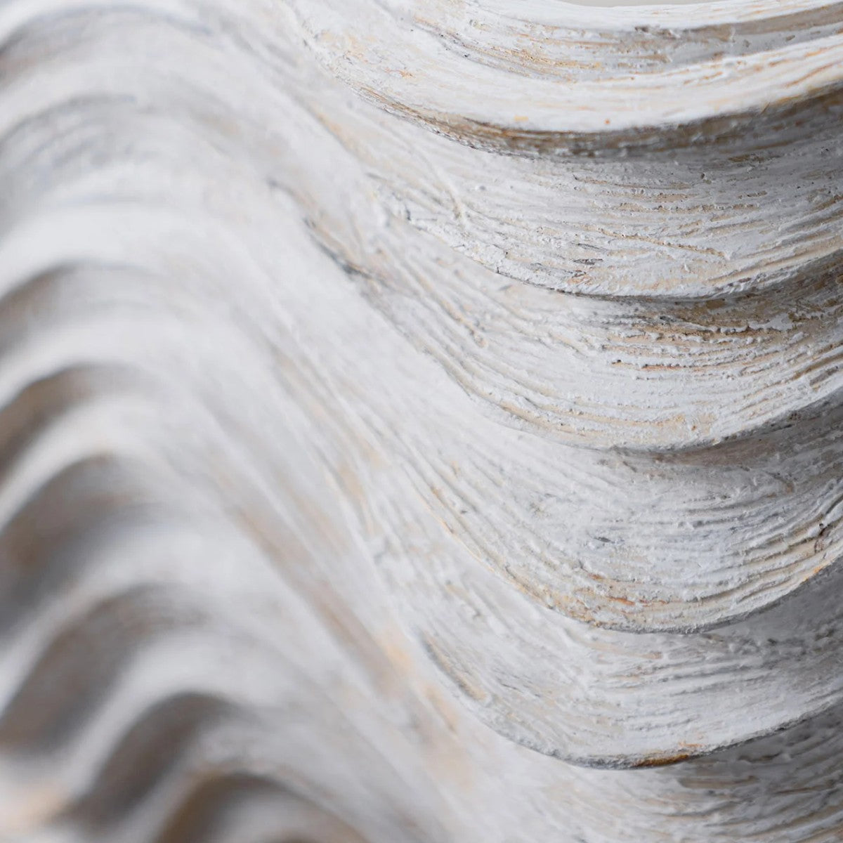 Porta Romana | Clam Shell Wall Light Small