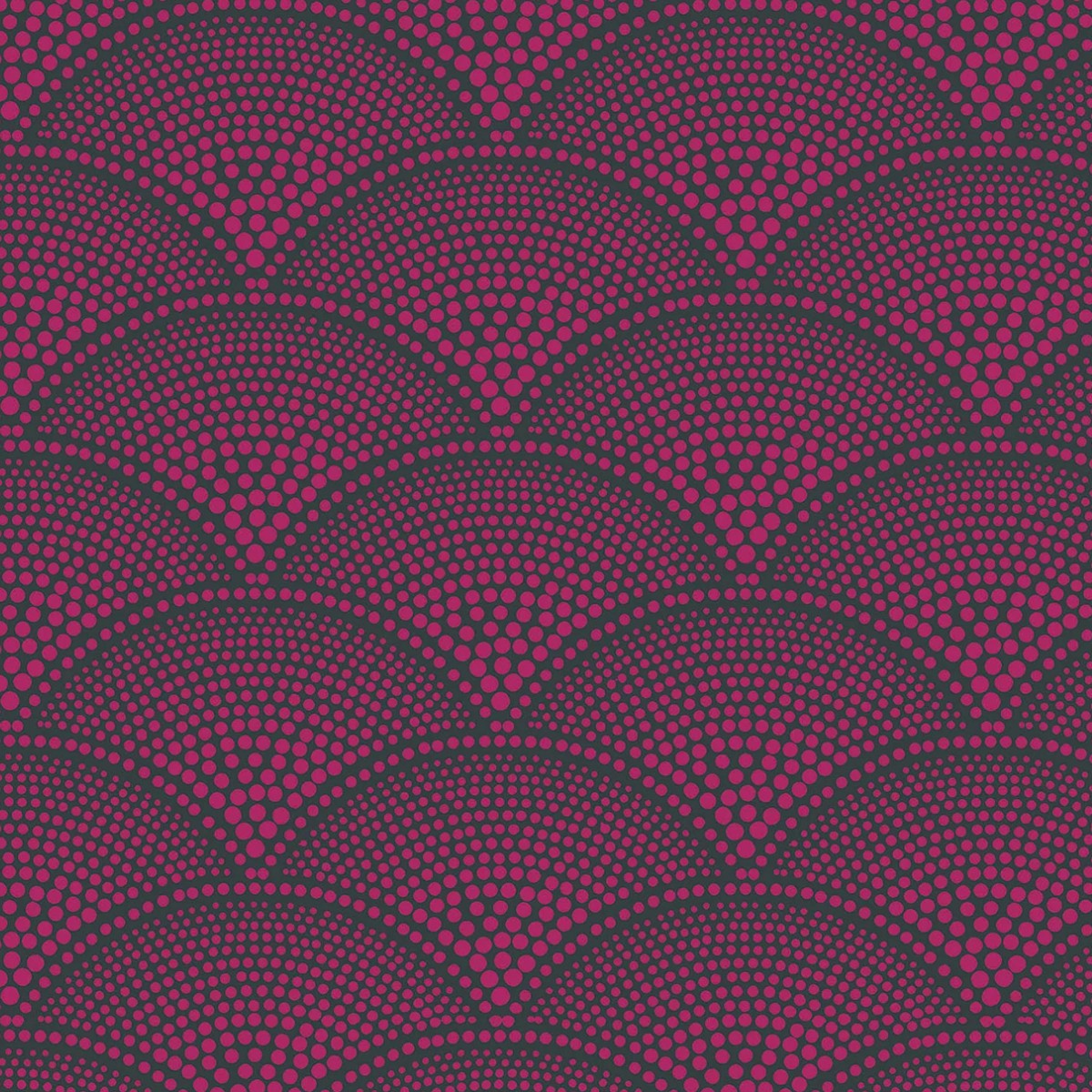 Cole & Son | Feather Fan Jacquard