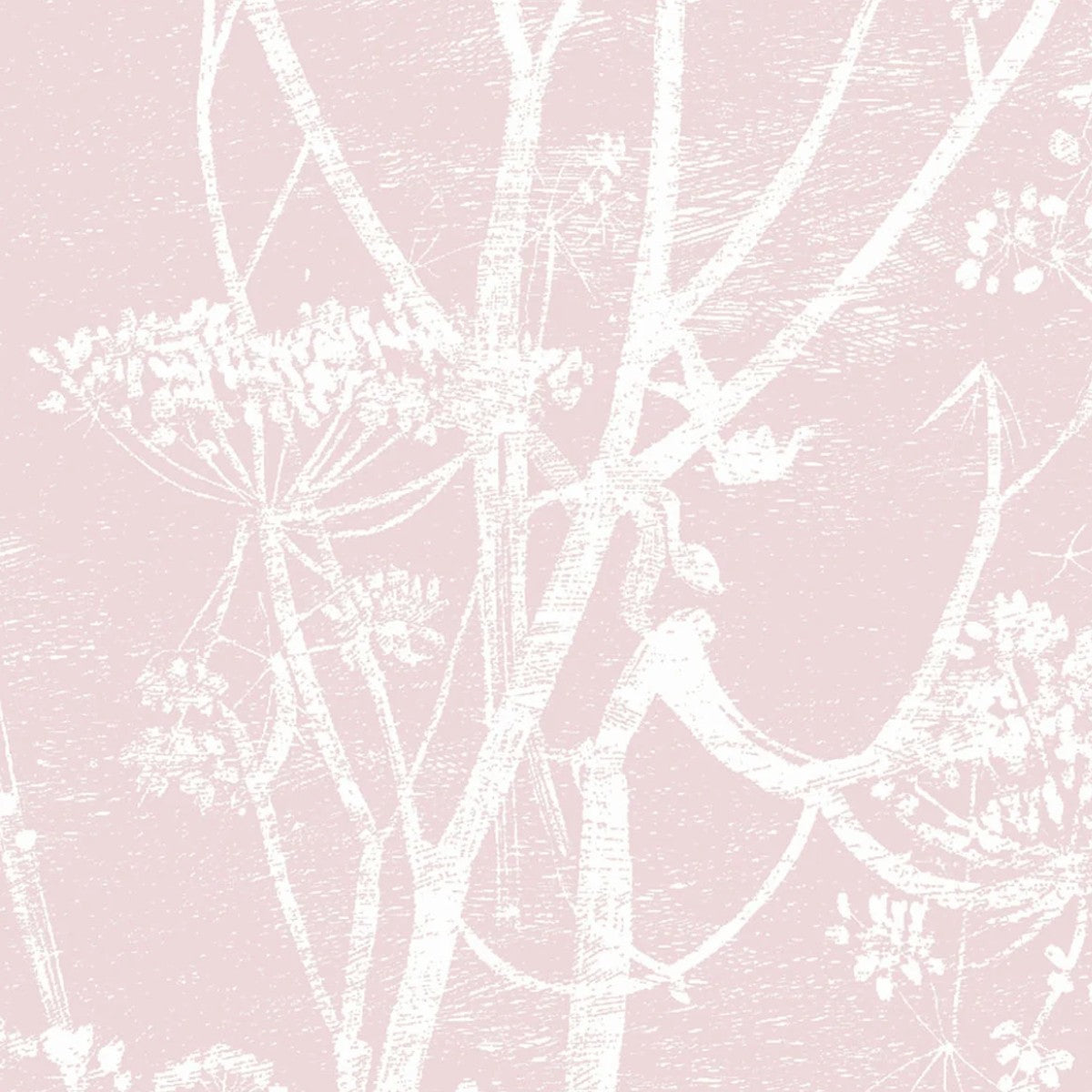 Cole & Son | Cow Parsley Linen