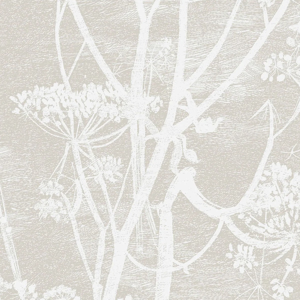 Cole & Son | Cow Parsley Linen