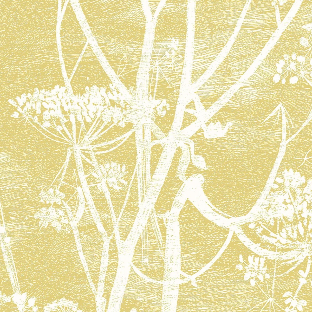 Cole & Son | Cow Parsley Linen
