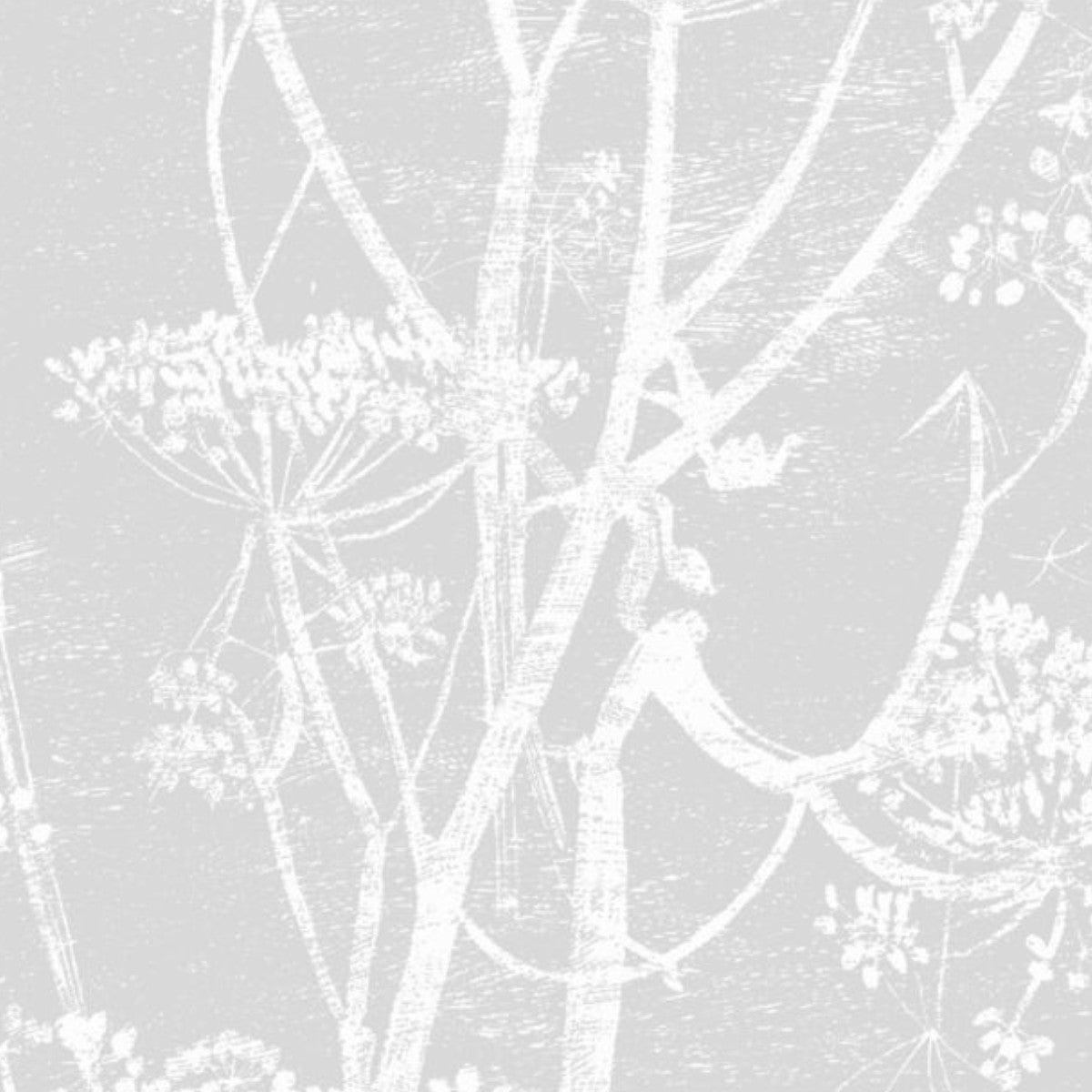 Cole & Son | Cow Parsley Linen