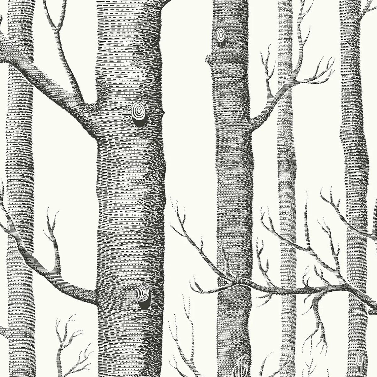 Cole & Son | Woods