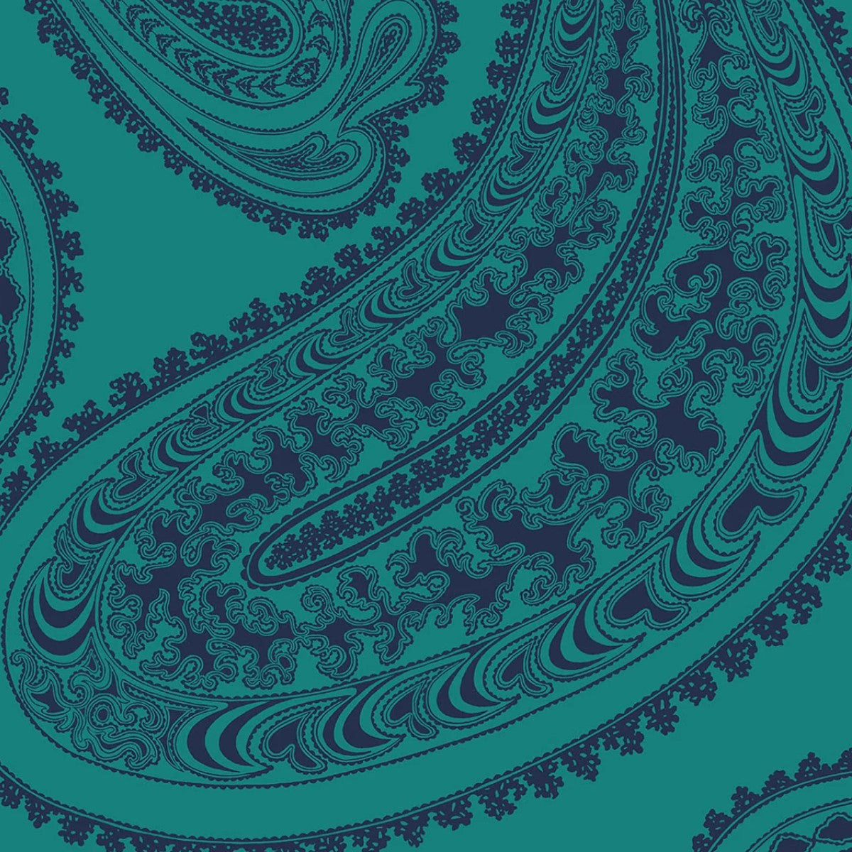 Cole & Son | Rajapur Velvet