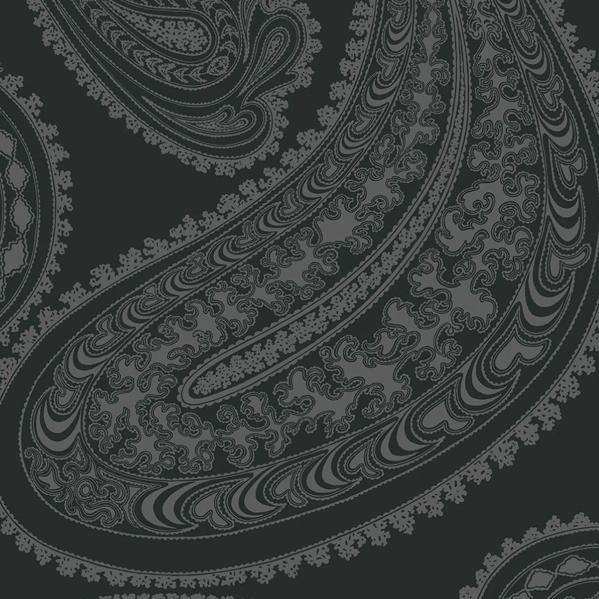 Cole & Son | Rajapur Velvet