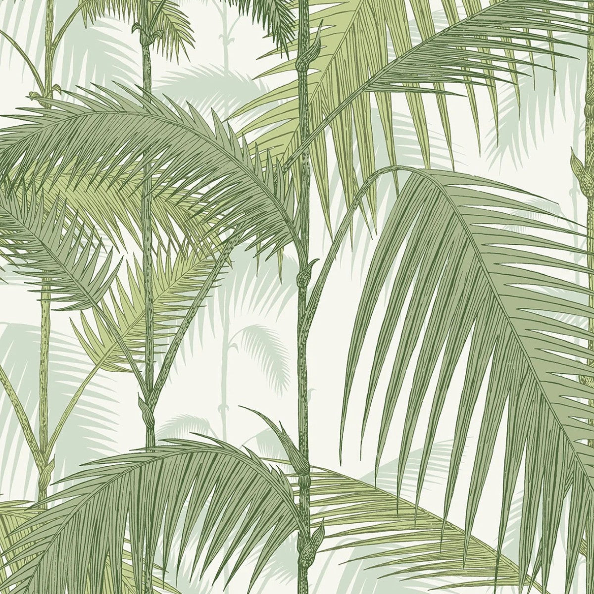 Cole & Son | Palm Jungle Linen