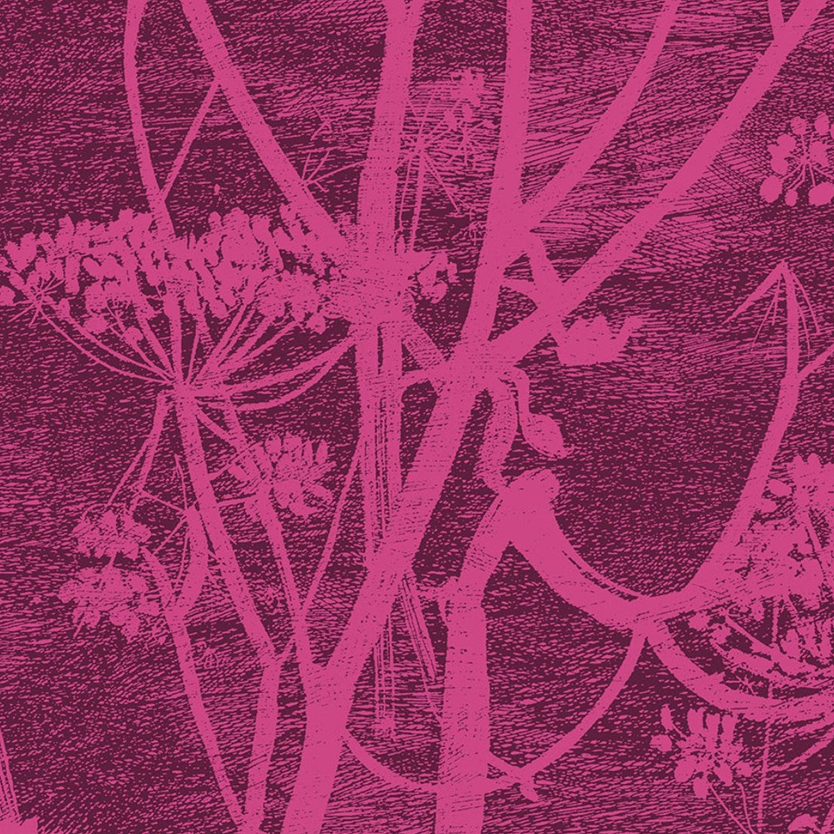 Cole & Son | Cow Parsley Velvet