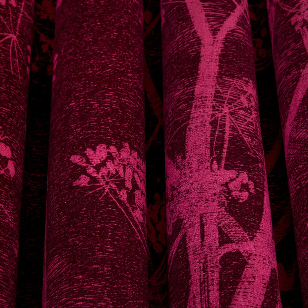 Cole & Son | Cow Parsley Velvet